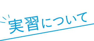 実習について
