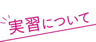 実習について