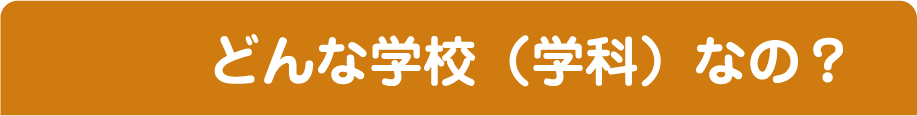 どんな学校（学科）なの？